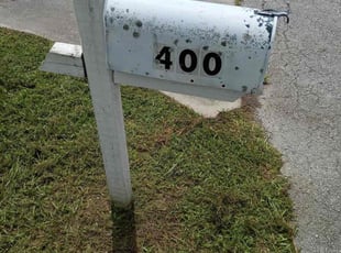 Cindy W.'s turf maintenance service result