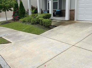 Elizabeth L.'s grass cutting service result