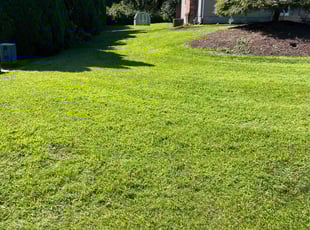 Katherine T.'s lawn care service result