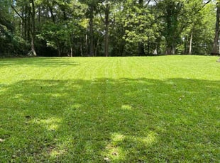 Irene S.'s turf care service result