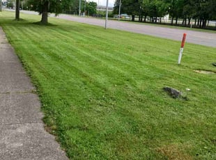 Kim B.'s lawn care service result