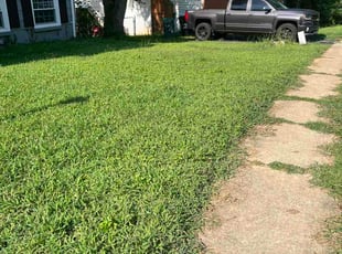 Angel S.'s Long Grass Cleanup service result