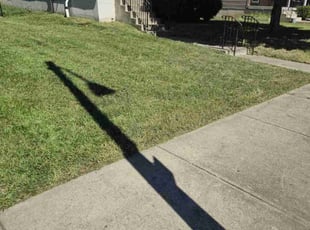 Catrice W.'s grass cutting service result