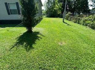 Jaime B.'s lawn maintenance service result