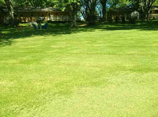 Josh S.'s lawn service service result