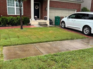 Magesh M.'s lawn care services service result