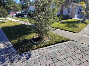 Raz A.'s lawn care service result