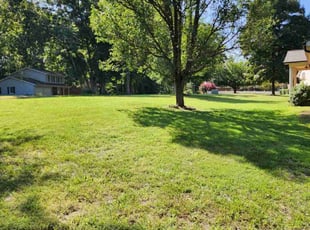 Timothy D.'s turf care service result
