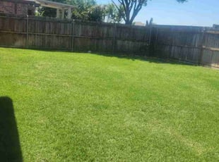 Raquel N.'s lawn care service result