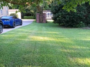 Jo W.'s grass maintenance service result