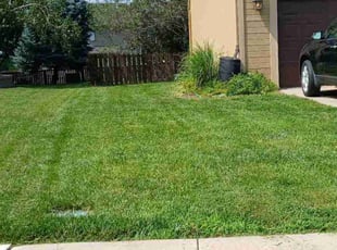 Amanda H.'s lawn service service result