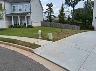 Aisha L.'s lawn service service result
