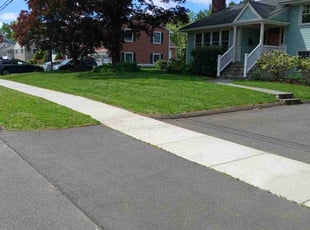 Lecia J.'s lawn care service result