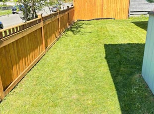 Cherish M.'s lawn care service result