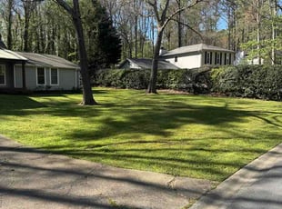 Darius T.'s grass maintenance service result