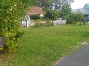 Kim P.'s grass maintenance service result