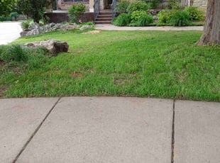Mark E.'s lawn care service result
