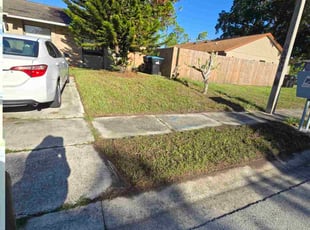 Ruben D.'s lawn service service result