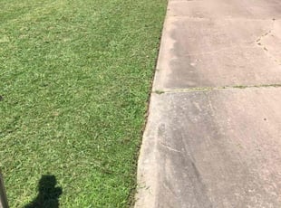 Chelsea S.'s grass cutting service result