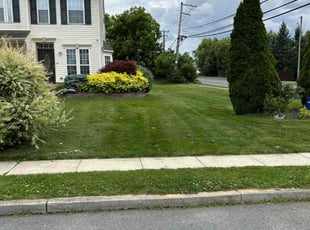 Silvia C.'s turf maintenance service result