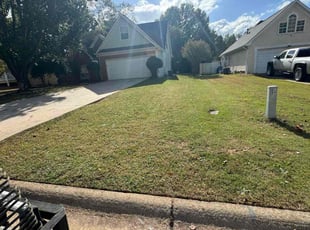 Chrysanthi H.'s turf care service result