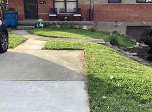 Anthony L.'s lawn service service result