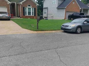 Chad S.'s lawn service service result