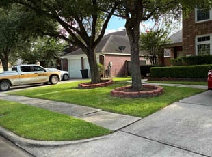 Latanya R.'s turf maintenance service result