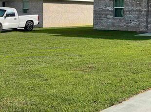 Lee W.'s grass maintenance service result