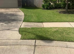 Randall B.'s landscaping service result