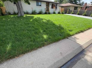 Dana C.'s lawn maintenance service result