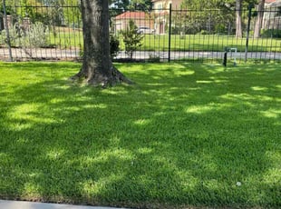 Gregory B.'s landscaping service result