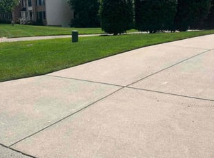 Darryl H.'s lawn care services service result