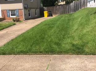 David W.'s turf care service result