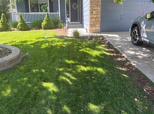 Matt V.'s Cleanups service result