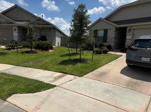 Gregory R.'s turf maintenance service result