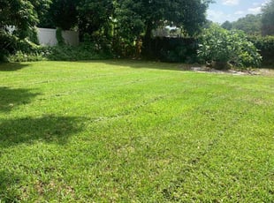 Yusuf Y.'s turf maintenance service result