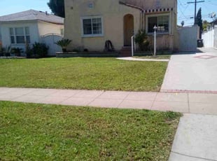 Sharon M.'s turf care service result