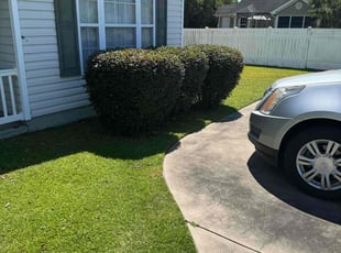 Don R.'s Bush Trimming service result