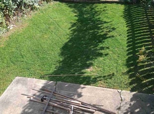 Vicki S.'s lawn care service result