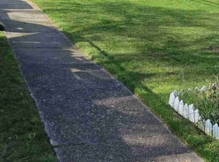 Gary H.'s turf care service result