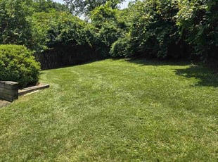 Julie W.'s grass maintenance service result