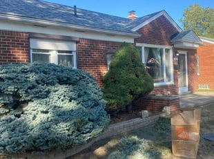 Benjamin W.'s Bush Trimming service result