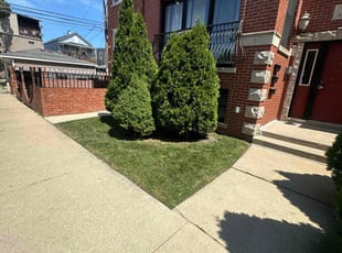 Joel Z.'s turf maintenance service result