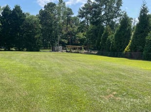 Alex D.'s turf maintenance service result