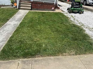 Brett T.'s lawn care service result