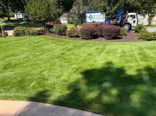 Brandon B.'s grass maintenance service result