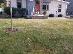 Latonia R.'s Leaf Removal service result