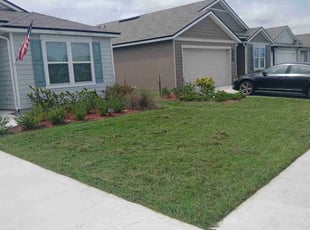 Edwin P.'s grass maintenance service result