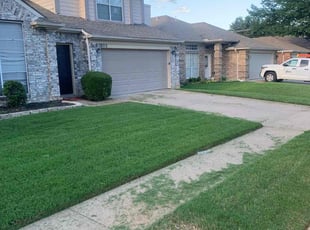 Maria P.'s lawn maintenance service result